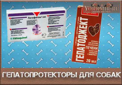 Исключение составляет лишь наличие индивидуальной непереносимости таких средств