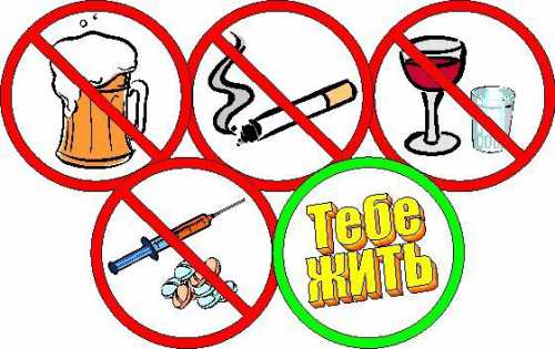 Основы здорового образа жизни