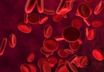 Ученые: организм может самостоятельно бороться с