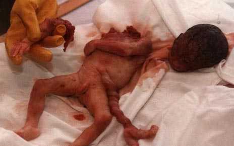 Елена год марта что можете сказать про отношения как сложится работа в январе будет ли дальняя поездка в этом году и когда мария