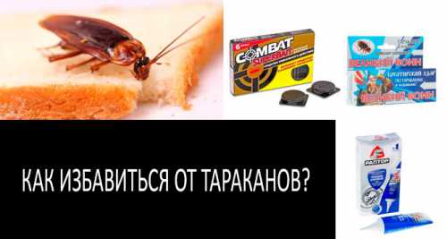 Это также станет профилактикой