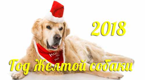 Гороскоп на 2018 год Собаки по знакам Зодиака