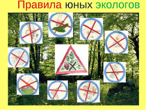 А потому уже сейчас стоит пересмотреть свою жизнь, то, как мы поступали с людьми и, если кого обидели, то пора бы уже попросить прощения и примириться с теми, с кем уже давно в ссоре
