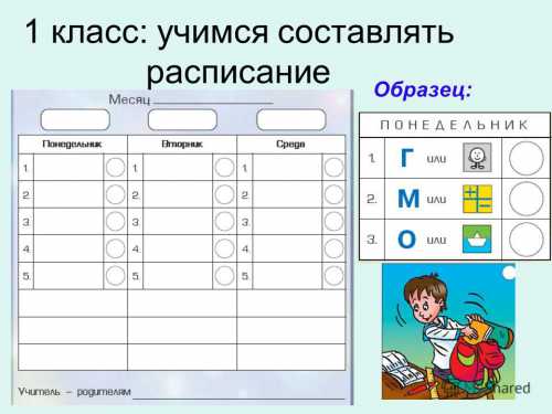 Стандарт породы исключает лишь три варианта окраса коричневый, красно коричневый, голубой
