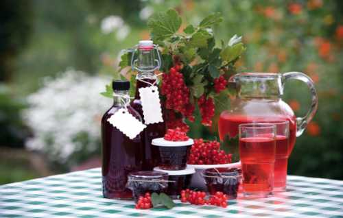 Заметьте, что сироп начнем готовить только тогда, когда ягодки дадут сок