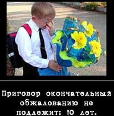 Кот метаясь по сугробам и крича