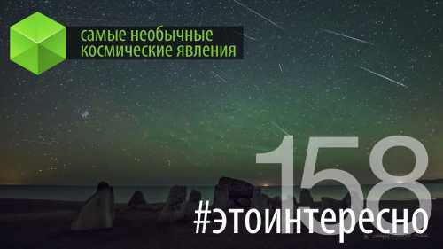 Это плотоядный цветок удивительной красоты