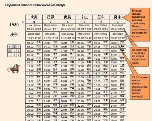 Земля для толстянки должна быть предварительно разрыхлена