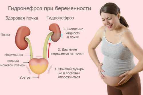 Детская психология и развитие