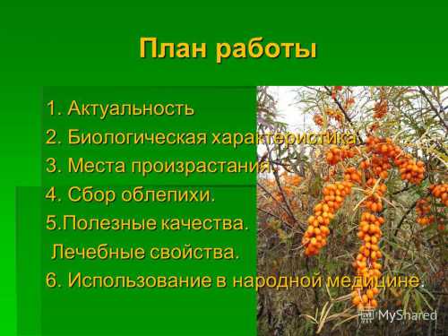 Полезные свойства хельбы, лечебные свойства, в
