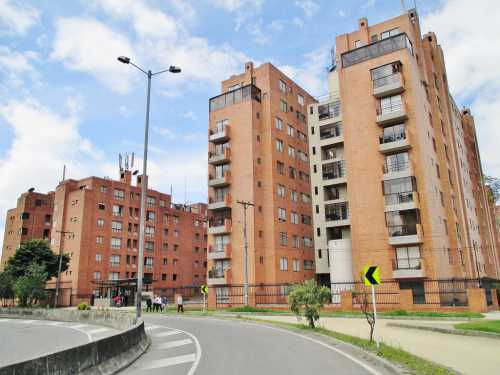 Что делать, если родители алкаши самых красивых цветков в мире фото, описание