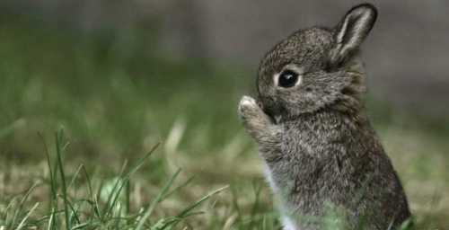 Толкователи советуют в первую очередь провериться у онколога, особенно если сон вы видели неоднократно